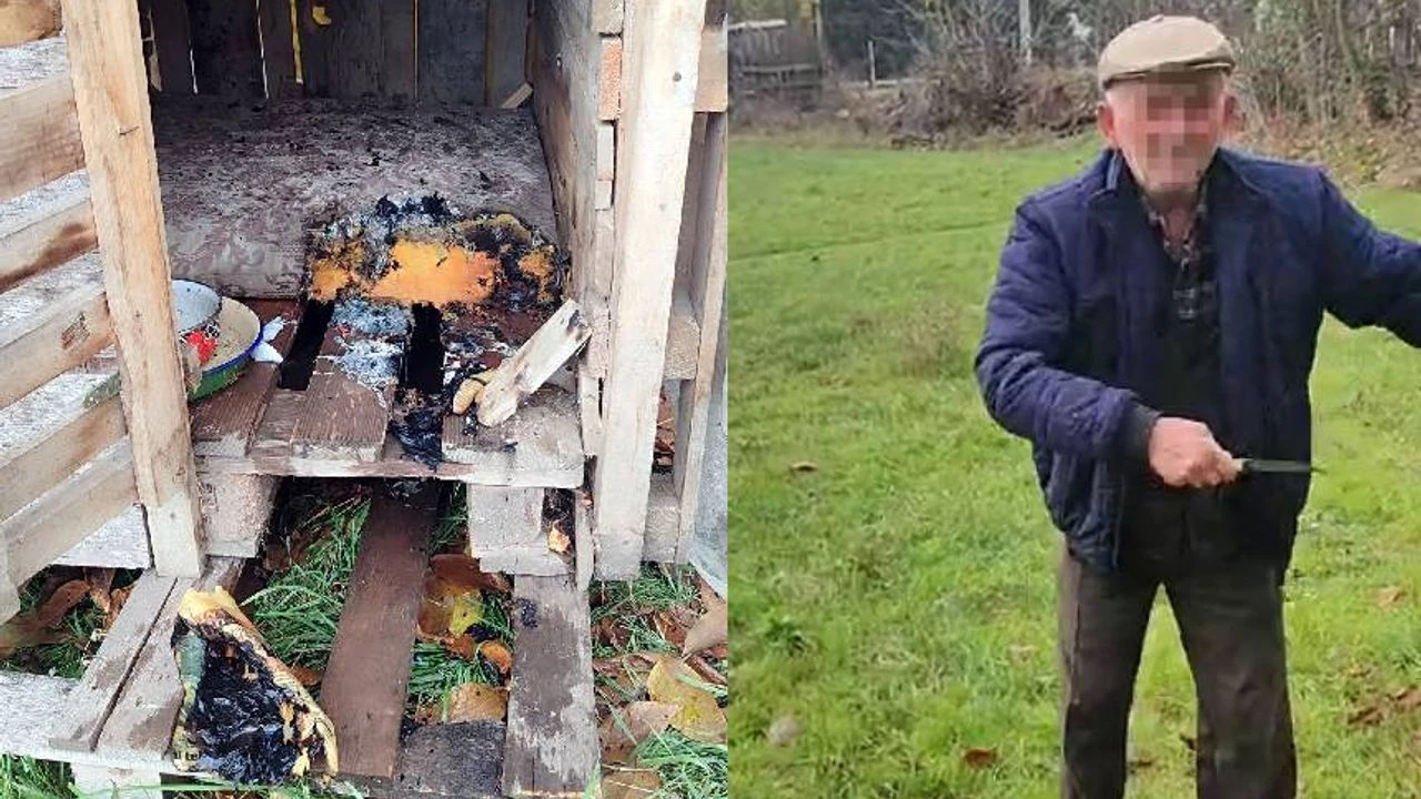 Sokak köpekleri için yapılan kulübeleri ateşe verdi, tepki gösterenlere bıçak çekti!