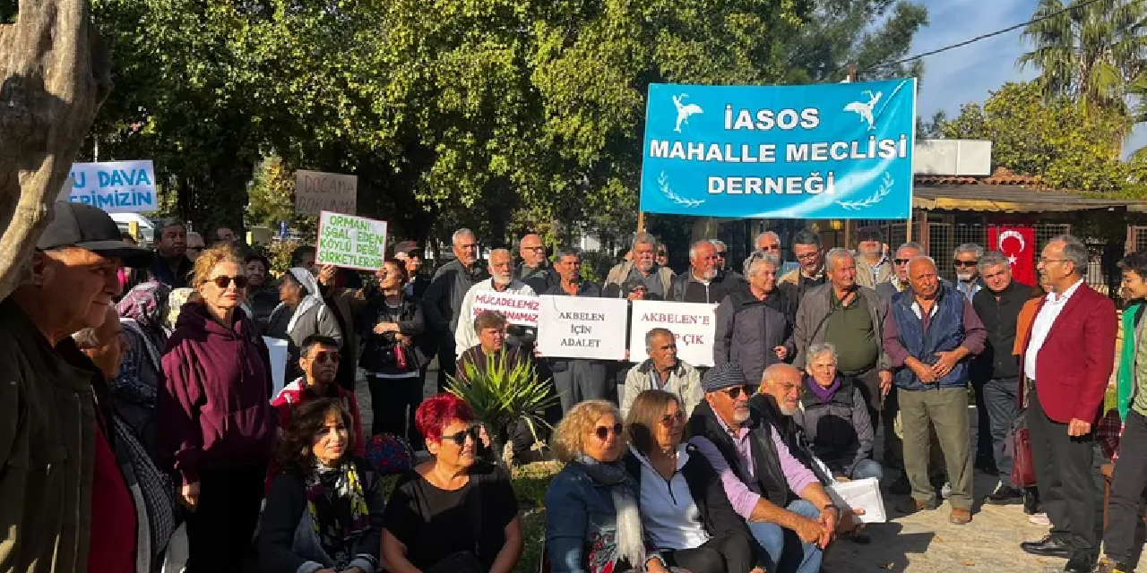 Muğla'nın Milas ilçesindeki İkizköy sakinleri, Limak Holding'in ağaç kesimine karşı direndiler, hakim karşısına çıktılar