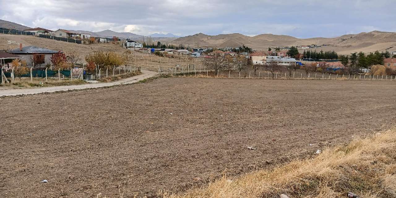 Ankara'da 13 yaşındaki çocuk köpeklerin saldırısına uğradı
