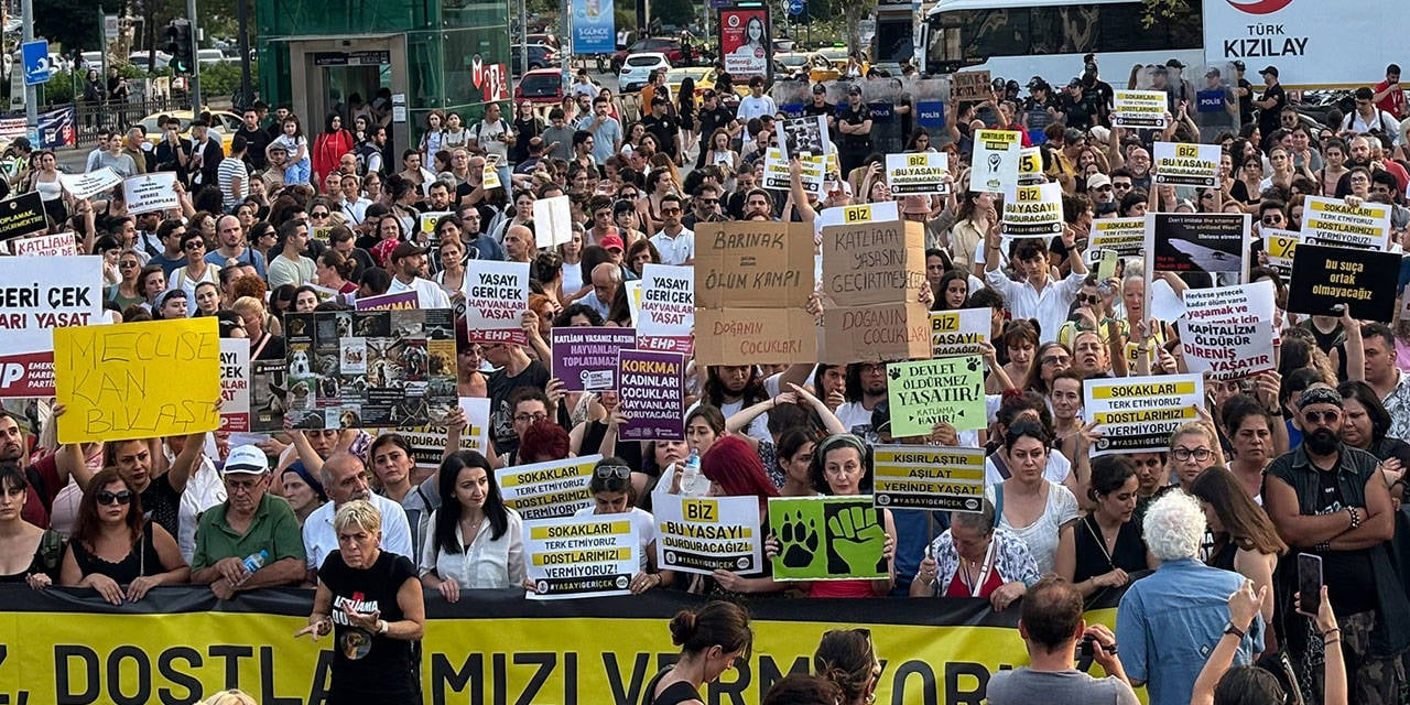 Yaşam ve hayvan hakları savucularından İstanbul'da eylem çağrısı