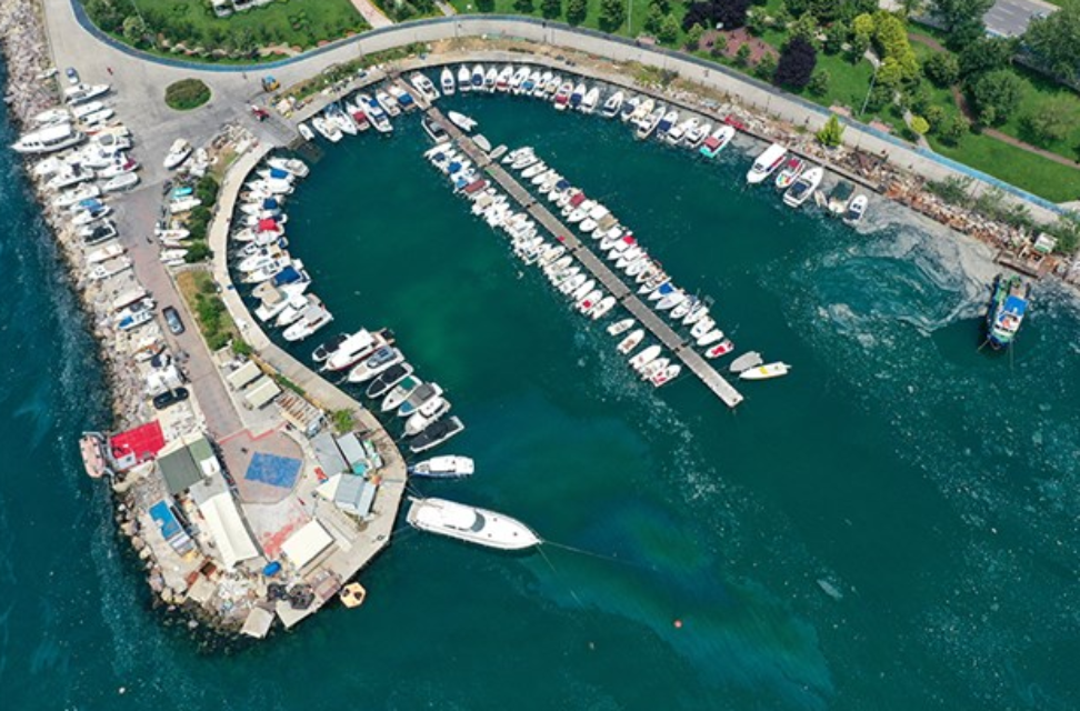 Marmara Denizi'nde müsilaj alarmı: İstanbul Boğazı'nda nerelerde var?