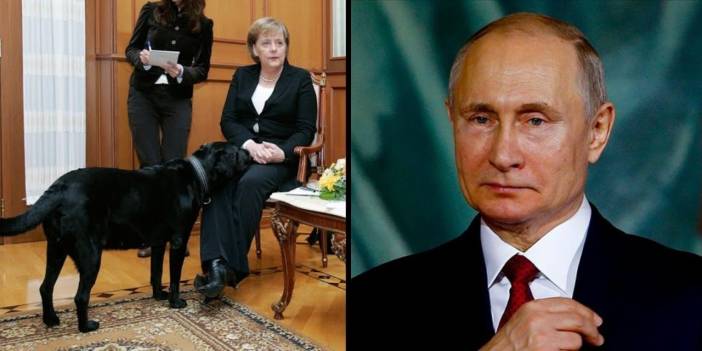 Putin, Merkel'den özür diledi: Korktuğunu bilmiyordum