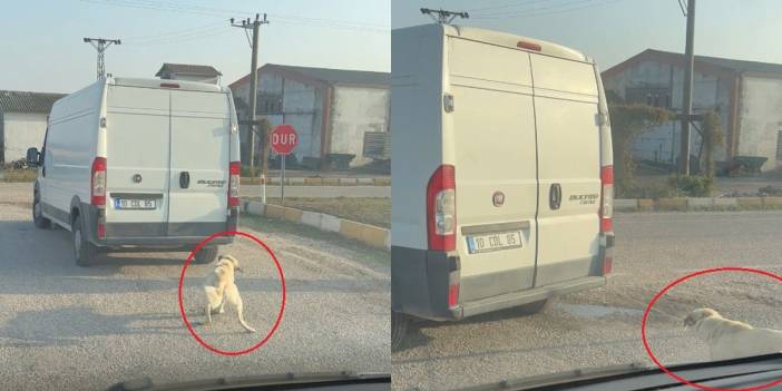 Sadece para cezası verildi: Köpeği minibüsün arkasına iple bağlayıp çekti