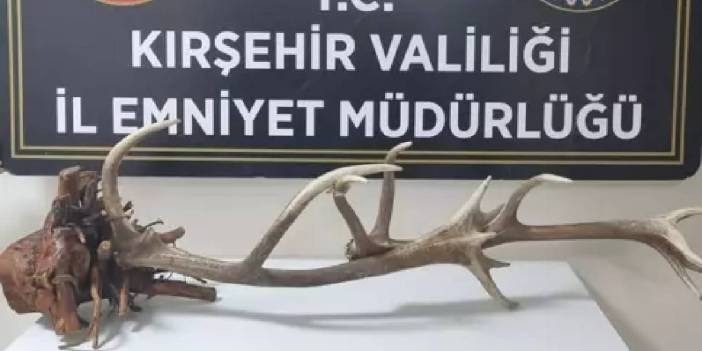 Kırşehir'de koruma altındaki hayvanın parçasını satan kişi yakalandı