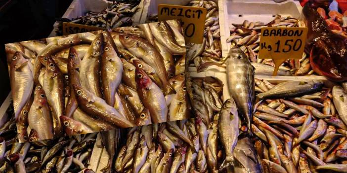 Tezgahların yeni gözdesi mezgit oldu: Kilosu 50 TL'ye düştü