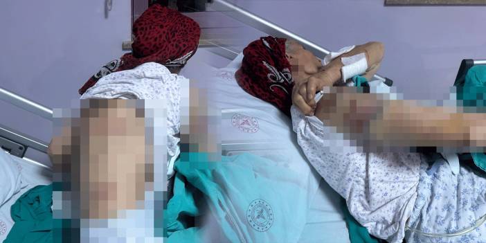 Tunceli'de 7 köpeğin saldırısına uğradı: Vücuduna 50 dikiş atıldı