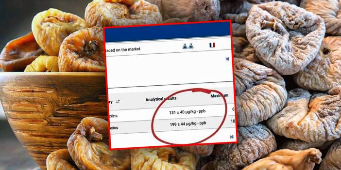 Gıdada tehlike: Fransa'nın iade ettiği incirlerde 20 kat zehir çıktı