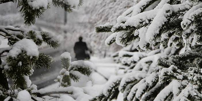 Kar yağışı geliyor: Pazar günü 16 şehir beyaza bürünecek