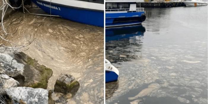 Müsilaj Kadıköy'e dayandı: Deniz beyaz tabakayla örtüldü