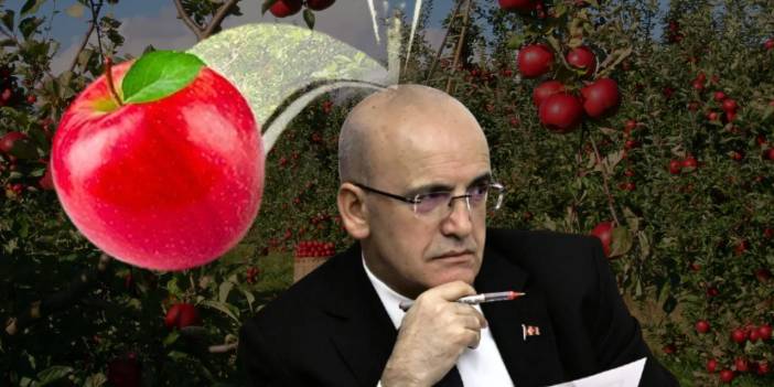 Mehmet Şimşek yeni vergiyi elma ağacında buldu