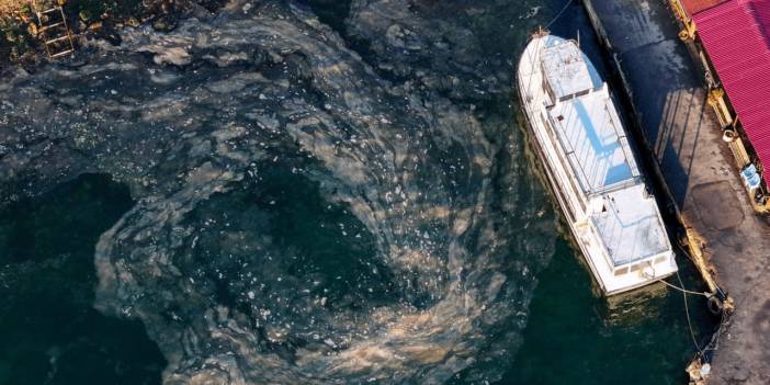 Müsilaj kabusu geri döndü: Marmara Denizi'nde yüzeye çıktı