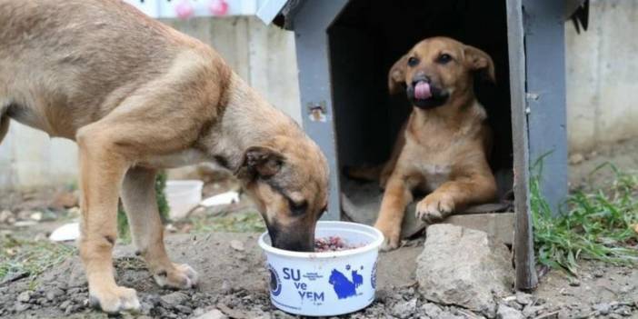 Tuzla Belediye Başkanı katliam yasasına tepki gösterdi: Bu vebali almayacağız