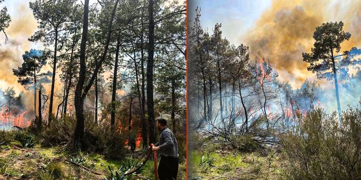 Antalya'da orman yangını