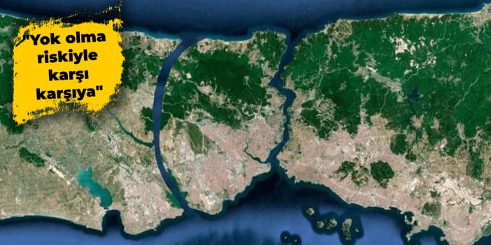 TEMA Vakfı'ndan 'Kanal İstanbul' uyarısı: Yok olma riskiyle karşı karşıya