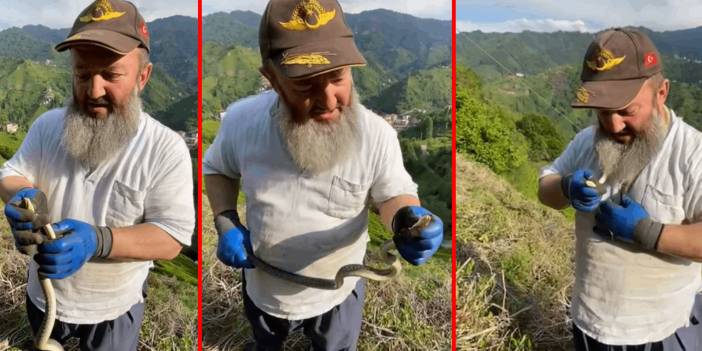 Zehirli yılanı boynuna doladı: Görenleri şaşkına çevirdi