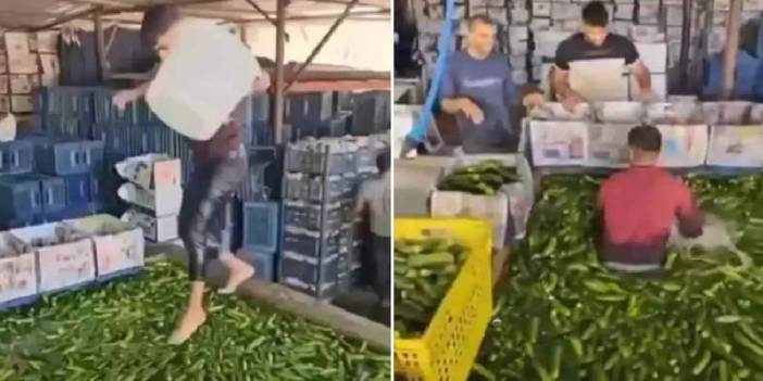 Çıplak ayakla salatalık havuzuna girdi: Bakanlık devreye girdi