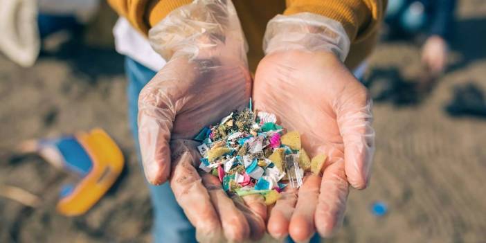 Mikroplastik yiyoruz: Sadece beyinde miktarı yüzde 50 artmış