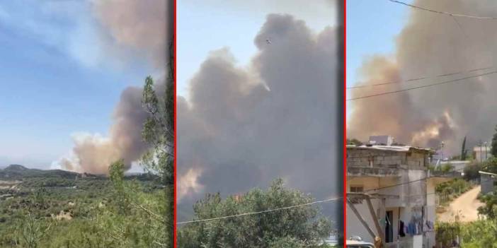 Adana'da orman yangını