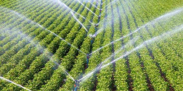 Çiftçilerin yüzünü güldürecek haber: Yüzde 50 hibe ile dağıtılıyor