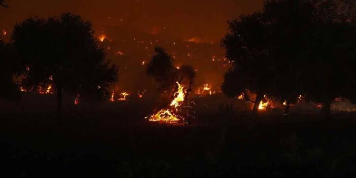 İzmir'de orman yangınları sürüyor: Otobüs alevlerin arasında kaldı