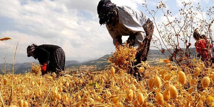 Tarım krizi pazarcıları da etkiliyor