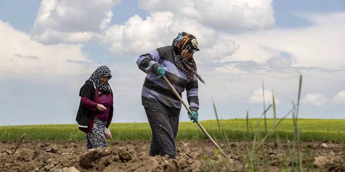 Çiftçi gitgide tükeniyor, önce ezildi sonra toprağına el konuldu