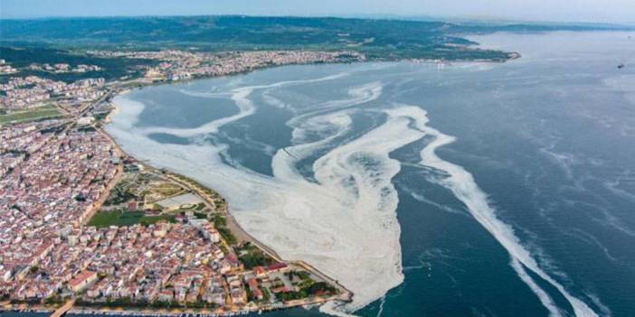 Marmara Denizi'nde müsilaj tehlikesi yeniden belirdi