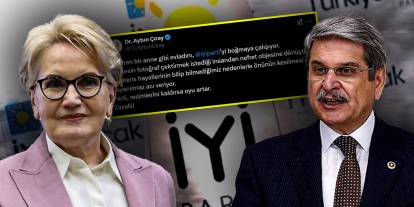 Aytun Çıray'dan Akşener'e 'Şizofren anne' benzetmesi