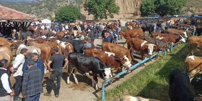 Bayram öncesi şap alarmı: Hayvan pazarı kapatıldı, karantina başladı