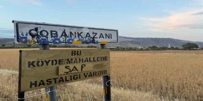Şırnak'ın Çobankazanı köyünde şap alarmı: Hayvan giriş çıkışları yasaklandı