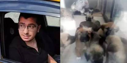 Çok sayıda köpeğe cinsel istismarda bulunup öldüren doktor için istenen ceza belli oldu!