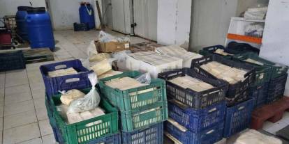Gıda terörü İzmir'de: 1500 kilo bozuk peynir ele geçirildi