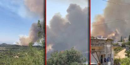 Adana'da orman yangını