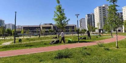 Vatandaşlar diken üstünde: Havalar ısınınca yine ortaya çıktılar