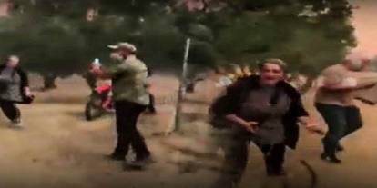 Yangından korkunç görüntüler: Alevler arasında kaldılar, orman çığlıklarla yankılandı