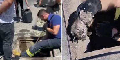 Yağmur suyu kanalında doğum: İtfaiye seferber oldu