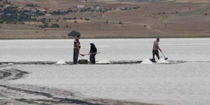 40 derece sıcakta pes etmeden çalışıyorlar: Gölden günde 500 kilo hasat çıkarıyorlar