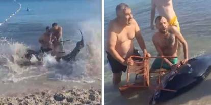 Servet değerinde balık yakaladıklarını sandılar: Şaşıp kaldılar