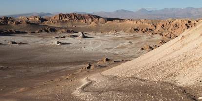 Dünyanın en kurak çölünden yaşam fışkırıyor