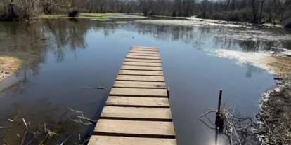Kuraklık bitirmişti: Yağmurlar longozu yeniden canlandırdı