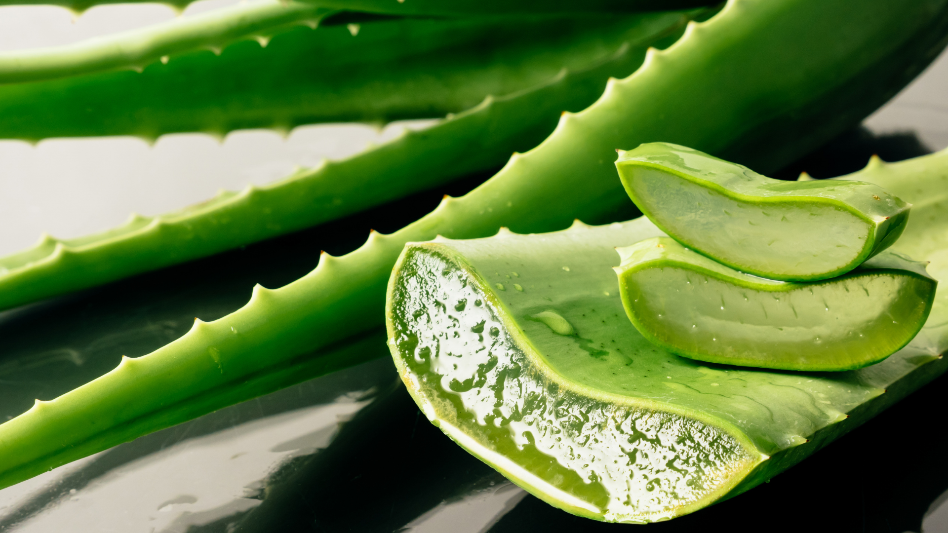 aloe.png