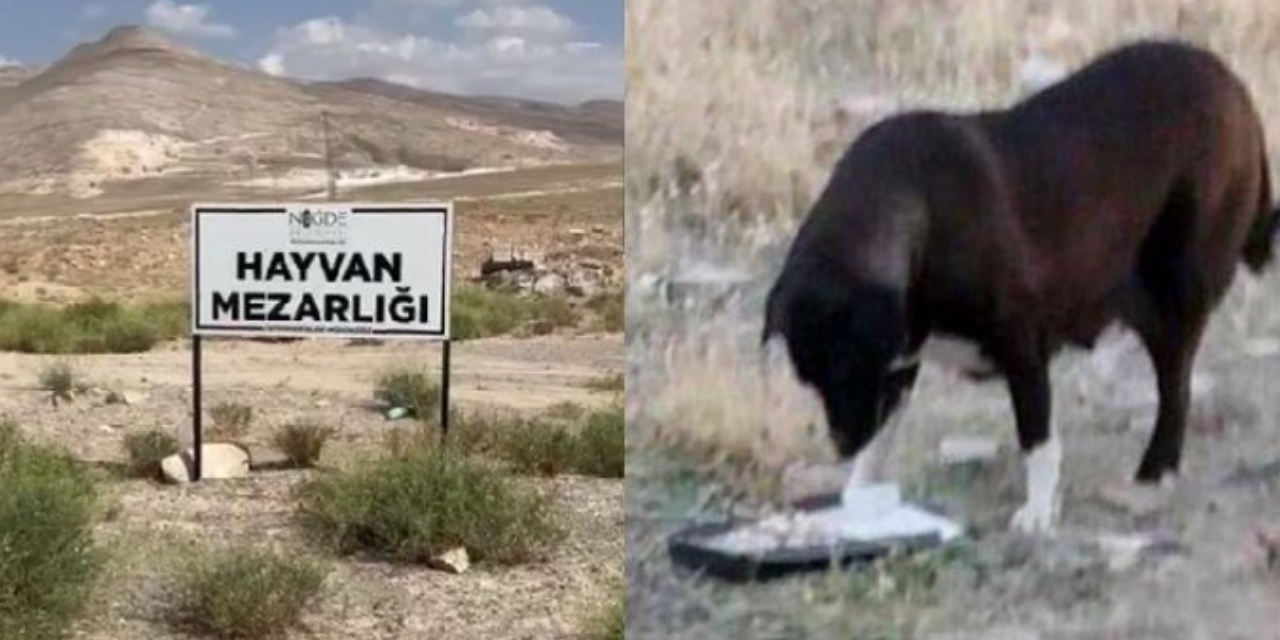 nigde2.png