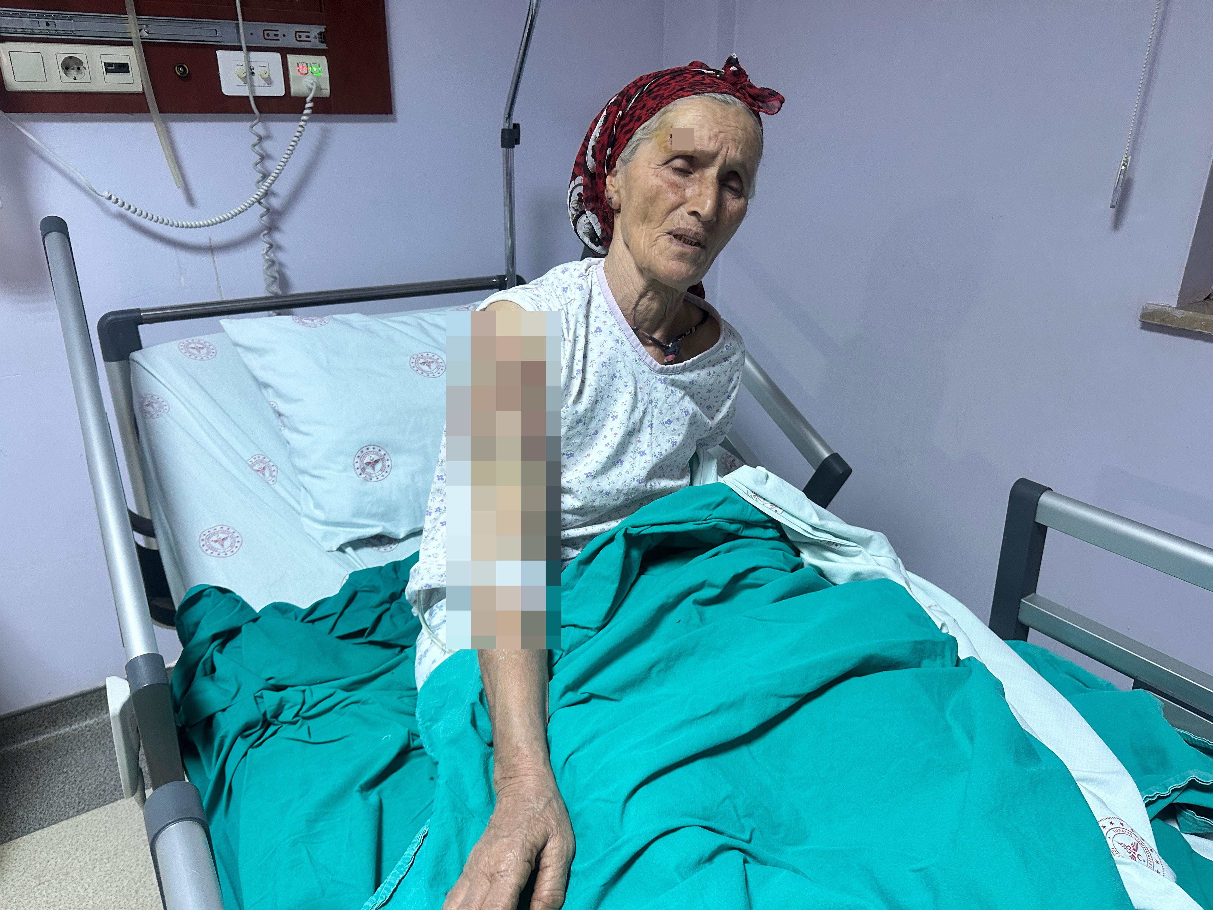 65-yasindaki-kadina-7-kopek-saldirdi-vu-483688-143052.jpg
