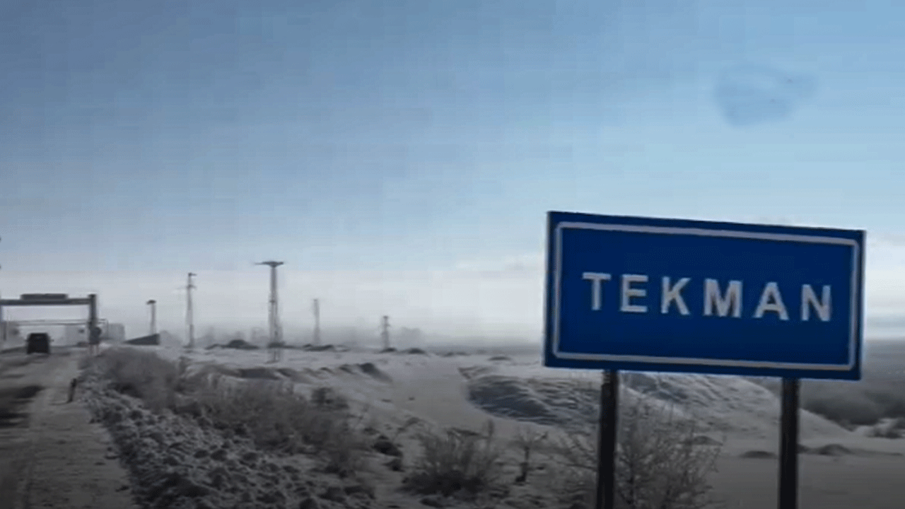 tekman.gif