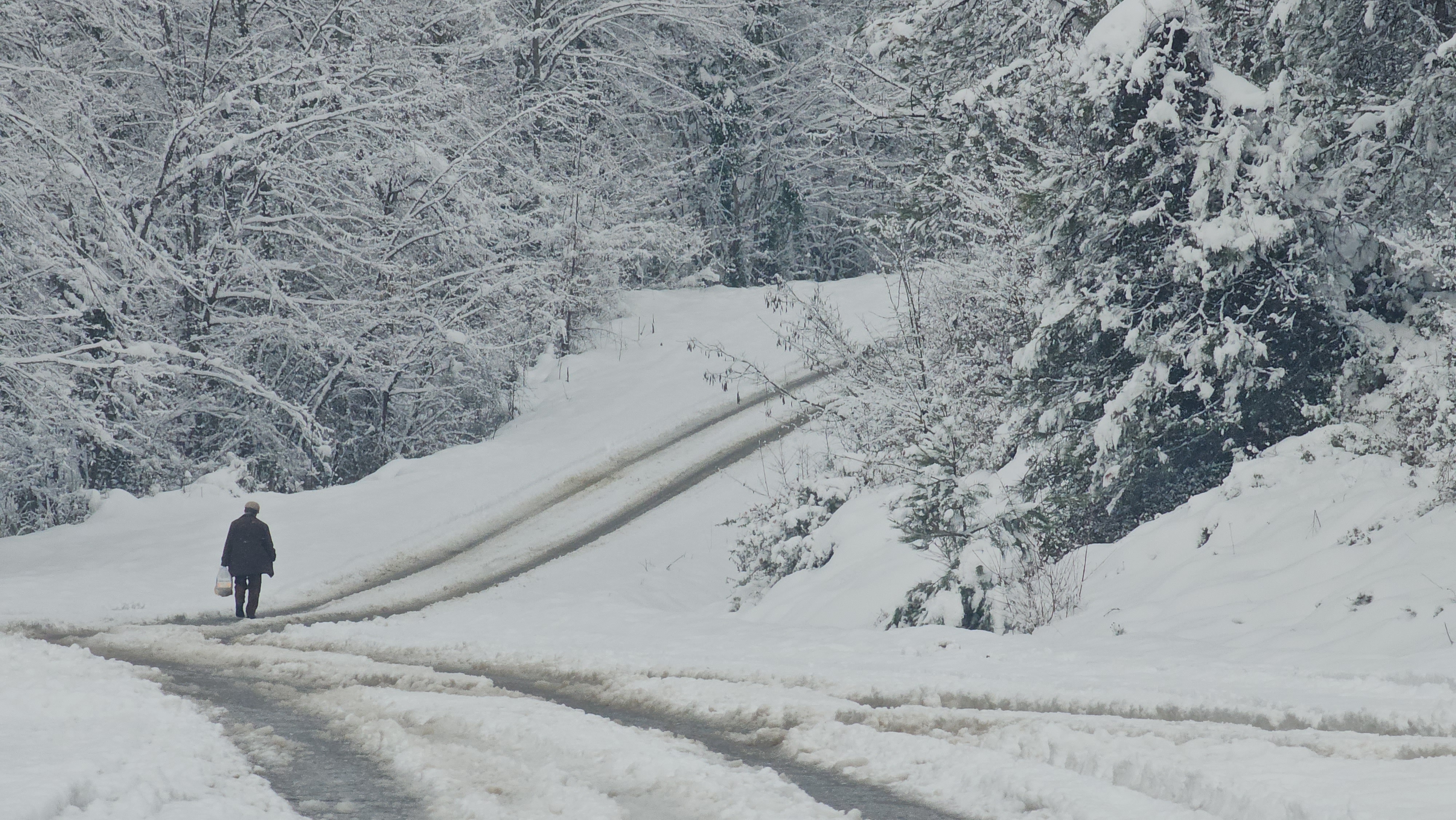 zonguldakta-67-koy-yolu-ulasima-kapali-551971-163633.jpg