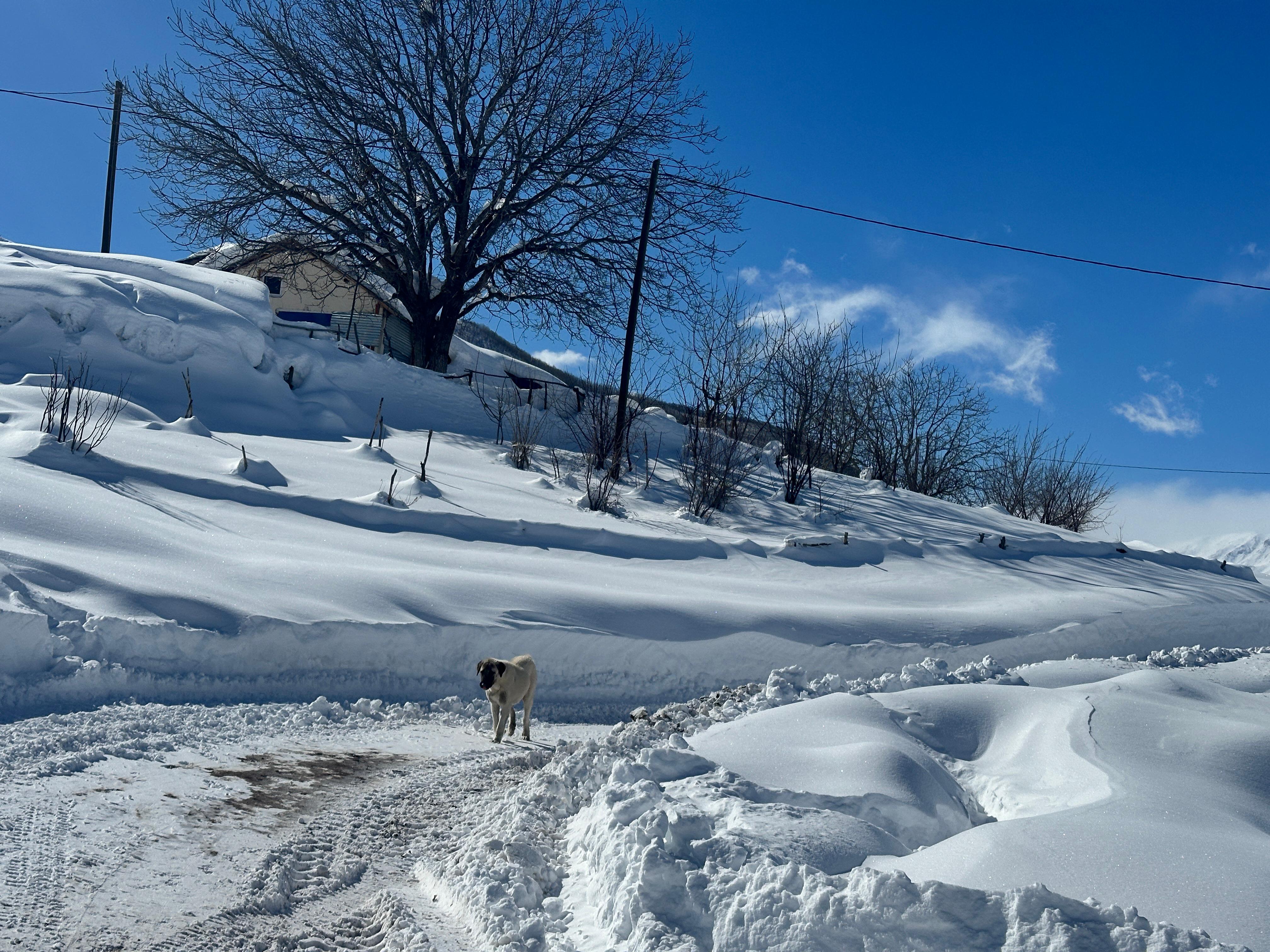 ovacikta-kar-manzarasi-dronla-goruntule-592405-175277.jpg