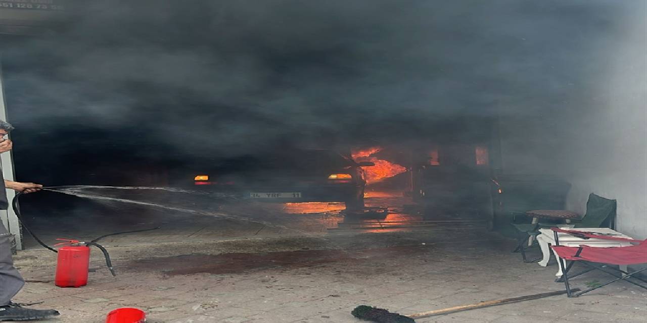 yeni-proje-8.jpg