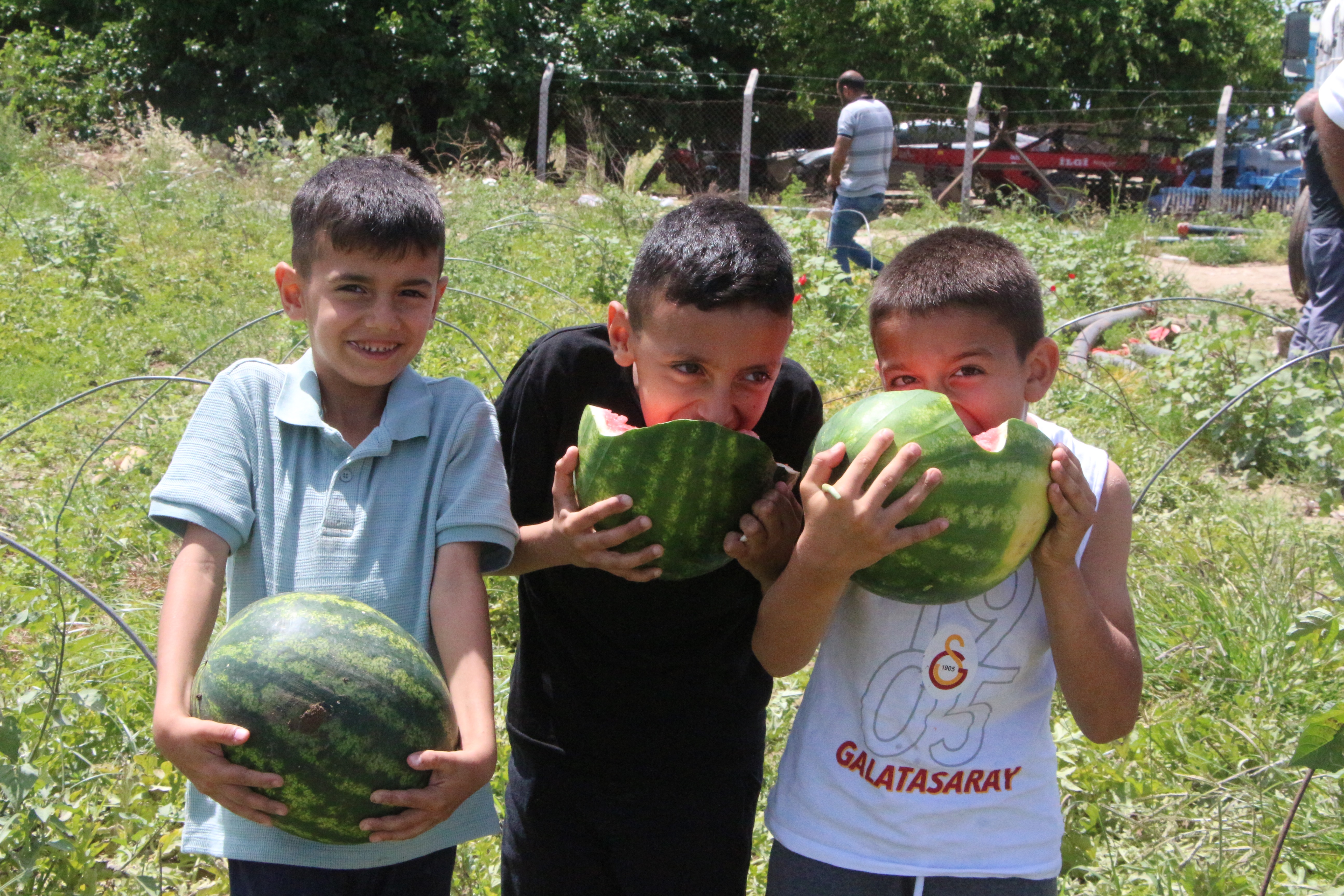 adanada-sezonun-ilk-karpuz-hasadi-basla-719378-212734.jpg