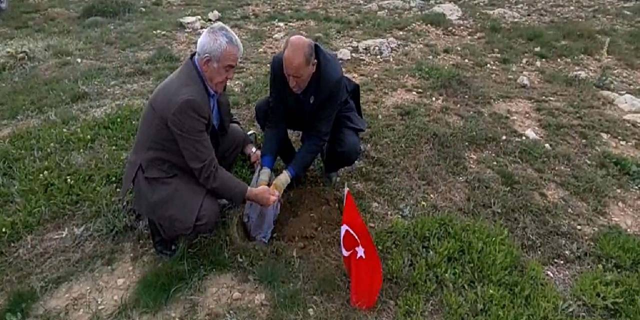 yeni-proje-2025-05-19t121416-913.jpg