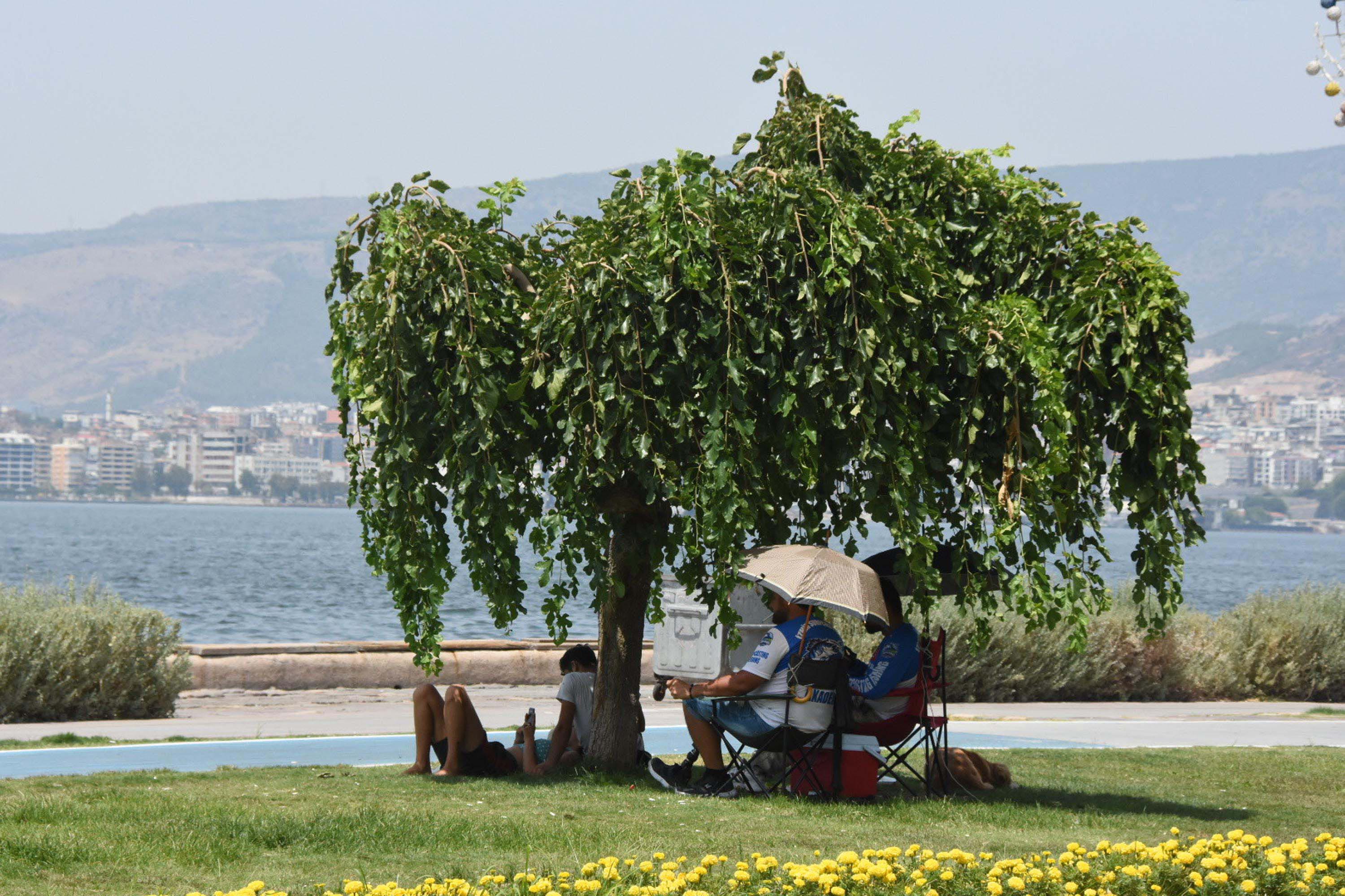 ege-icin-sicak-hava-ve-toz-tasinimi-728543-215291.jpg
